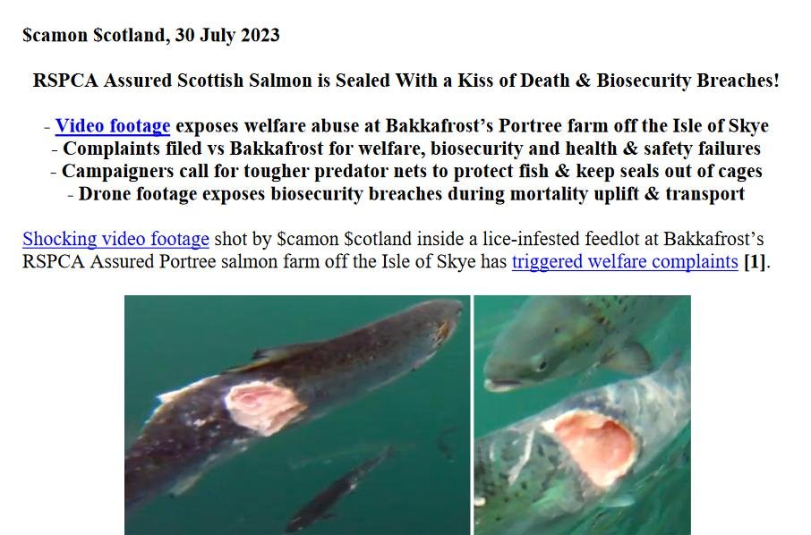 PR Sealed With a Kiss of Death Portree 30 July 2023 #1 PR Sealed With a Kiss of Death Portree 30 July 2023 #1