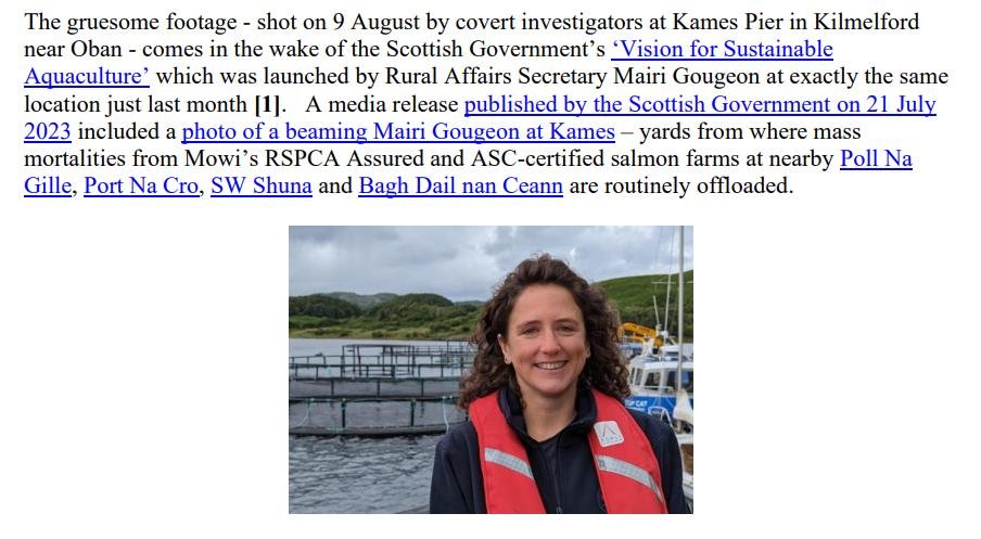 PR Video Nasty blows SG Vision for Aquaculture out of water 22 Aug 2023 #2