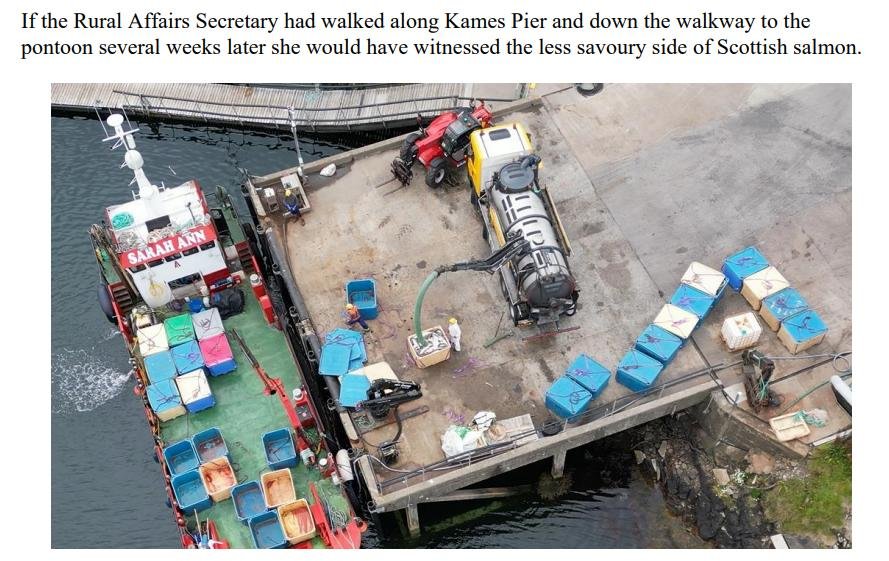 PR Video Nasty blows SG Vision for Aquaculture out of water 22 Aug 2023 #4