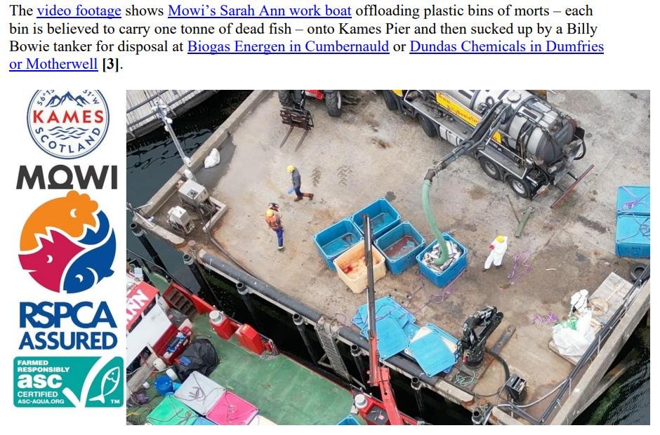 PR Video Nasty blows SG Vision for Aquaculture out of water 22 Aug 2023 #7