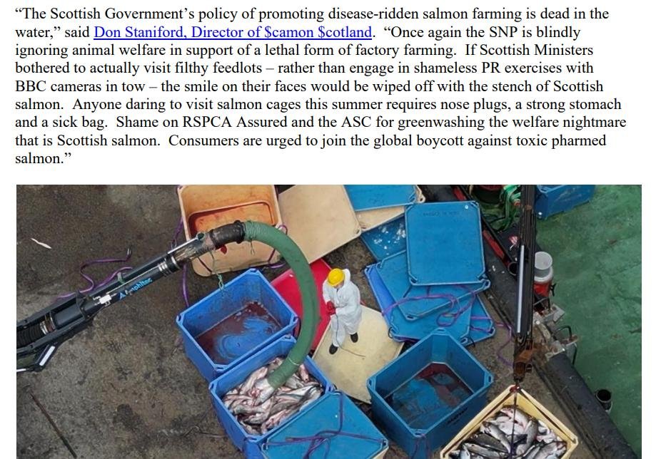 PR Video Nasty blows SG Vision for Aquaculture out of water 22 Aug 2023 #11