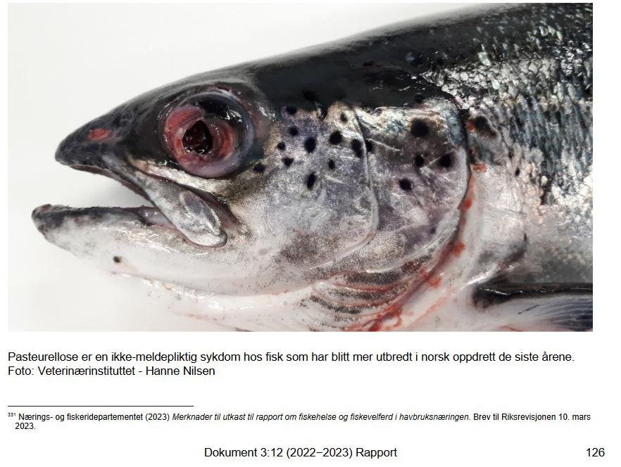 Norway Audit report June 2023 #8 Norway Audit report June 2023 #8