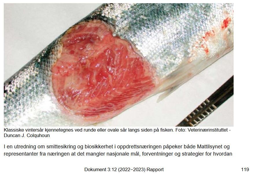 Norway Audit report June 2023 #9 Norway Audit report June 2023 #9