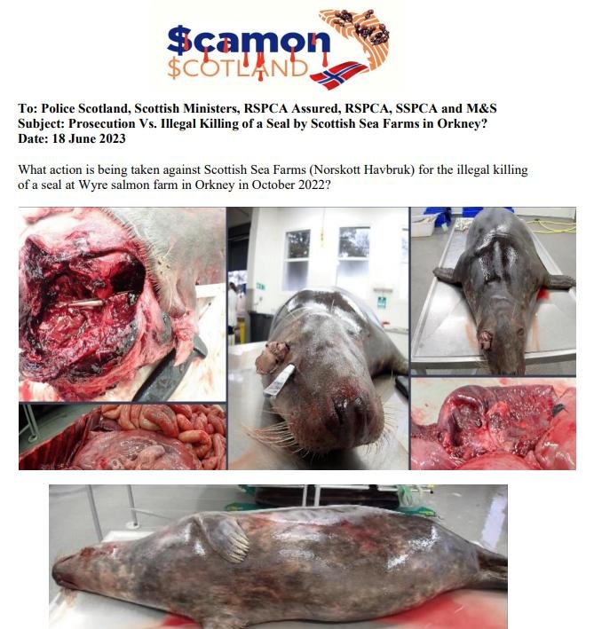 Letter to Police Scotland Scottish Ministers RSPCA Assured M&S 18 June 2023 #1 Letter to Police Scotland Scottish Ministers RSPCA Assured M&S 18 June 2023 #1