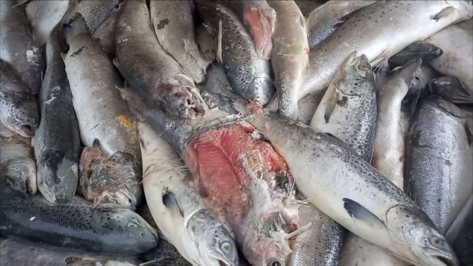 Screenshot 2023-07-04 at 21.47.53 Screenshot 2023-07-04 at 21.47.53