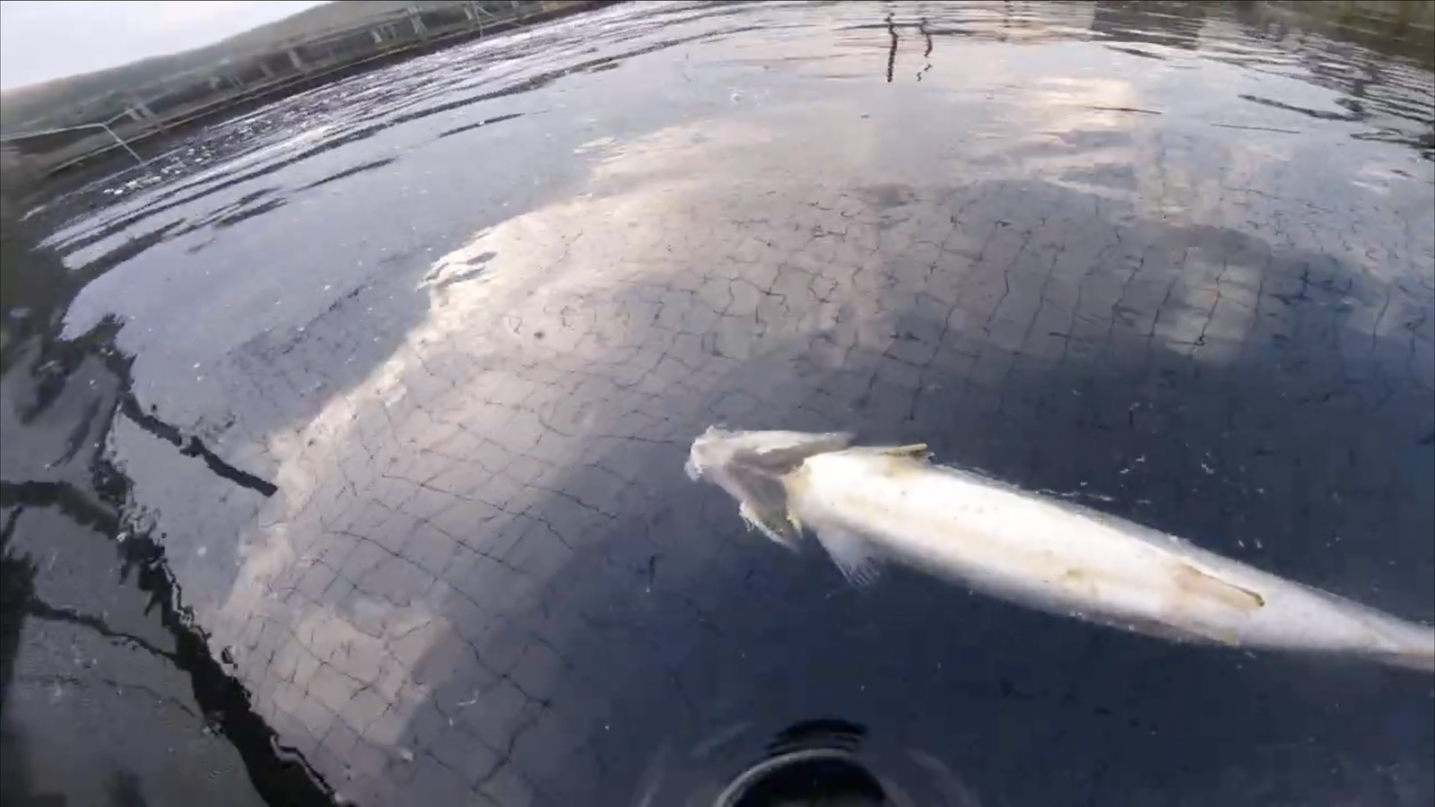 Screenshot 2023-07-04 at 22.03.21 Screenshot 2023-07-04 at 22.03.21