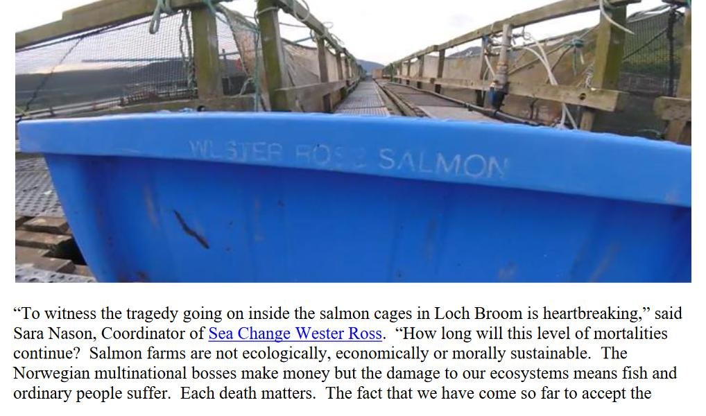 PR Welfare Abuse at RSPCA Assured Wester Ross Salmon 9 July 2023 #8