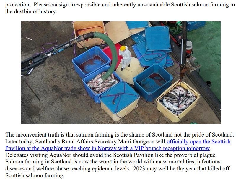 Letter to Scottish Ministers 22 August 2023 #3