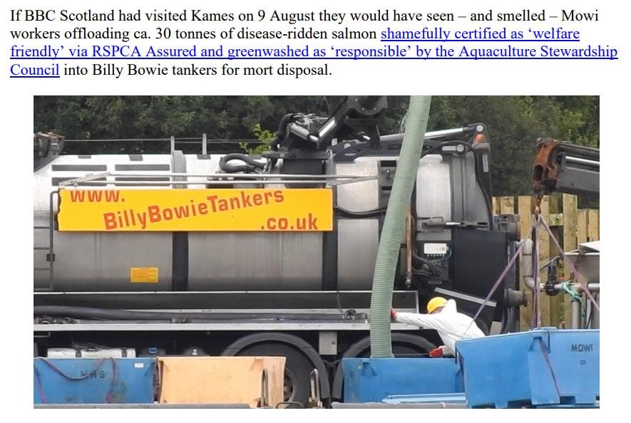 PR Video Nasty blows SG Vision for Aquaculture out of water 22 Aug 2023 #6