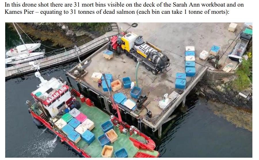 PR Video Nasty blows SG Vision for Aquaculture out of water 22 Aug 2023 #10