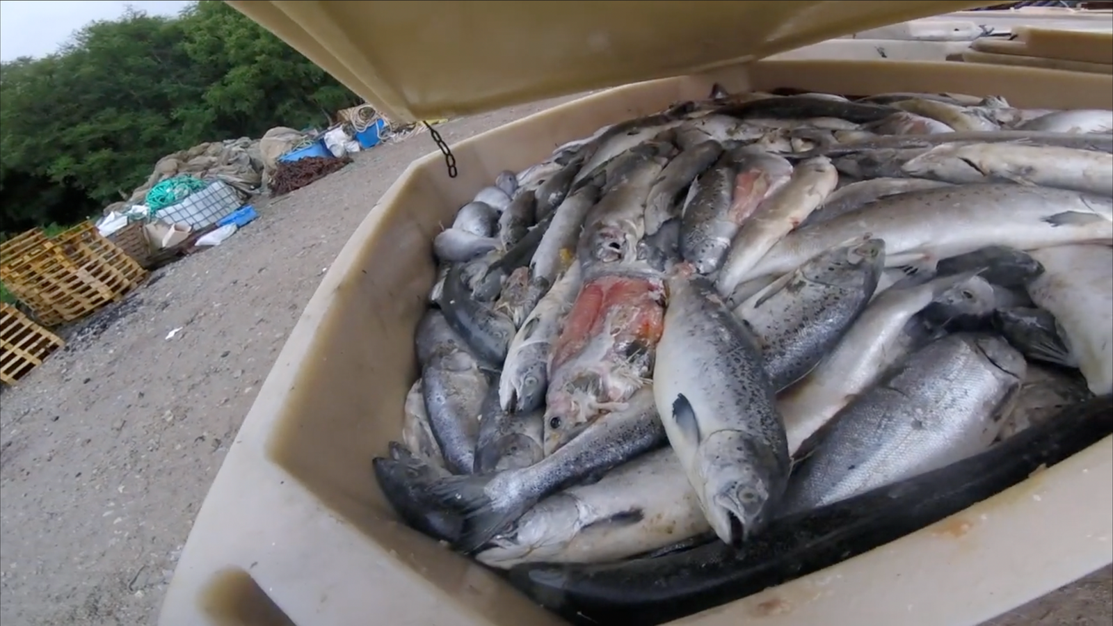 Screenshot 2023-07-04 at 22.05.31 Screenshot 2023-07-04 at 22.05.31