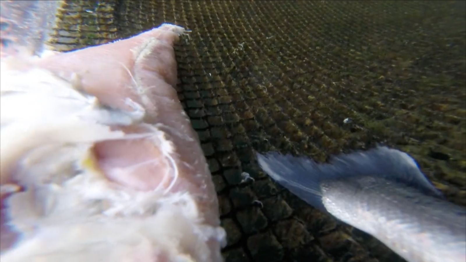 Screenshot 2023-07-04 at 22.01.13 Screenshot 2023-07-04 at 22.01.13