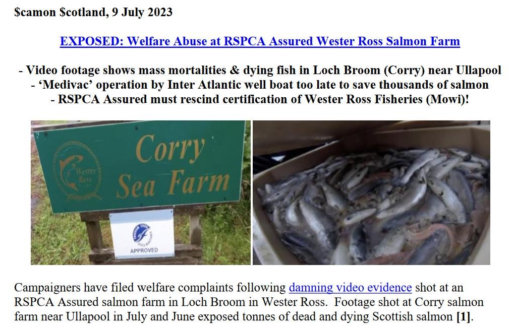 PR Welfare Abuse at RSPCA Assured Wester Ross Salmon 9 July 2023 #1