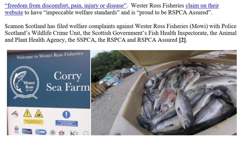 PR Welfare Abuse at RSPCA Assured Wester Ross Salmon 9 July 2023 #3