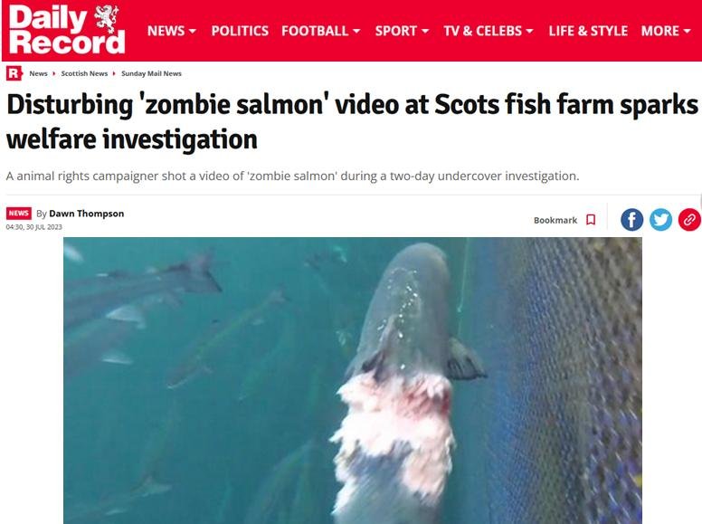 Sunday Mail 30 July 2023 #1 Sunday Mail 30 July 2023 #1