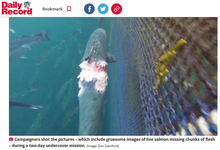 Sunday Mail 30 July 2023 #2 Sunday Mail 30 July 2023 #2