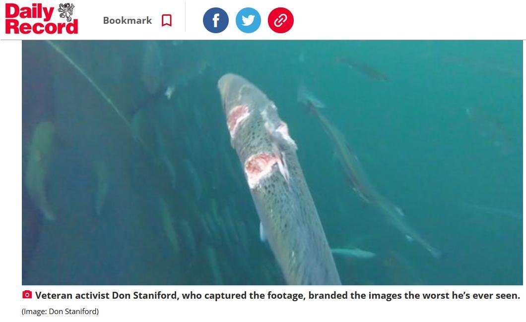 Sunday Mail 30 July 2023 #7 Sunday Mail 30 July 2023 #7