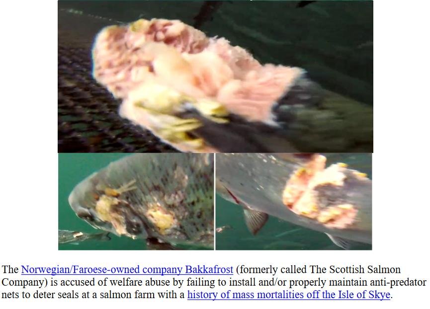 PR Sealed With a Kiss of Death Portree 30 July 2023 #2 PR Sealed With a Kiss of Death Portree 30 July 2023 #2