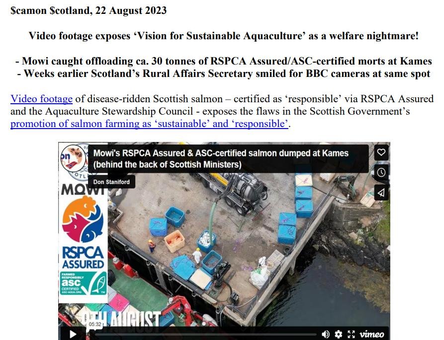 PR Video Nasty blows SG Vision for Aquaculture out of water 22 Aug 2023 #1