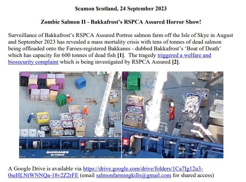 Zombie Salmon II Media Backgrounder 24 September 2023 #1