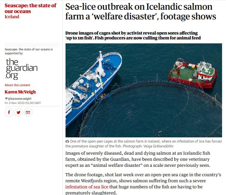 Iceland #1 Iceland #1