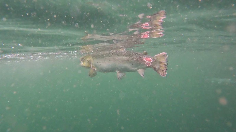 Torridon #1 Torridon #1