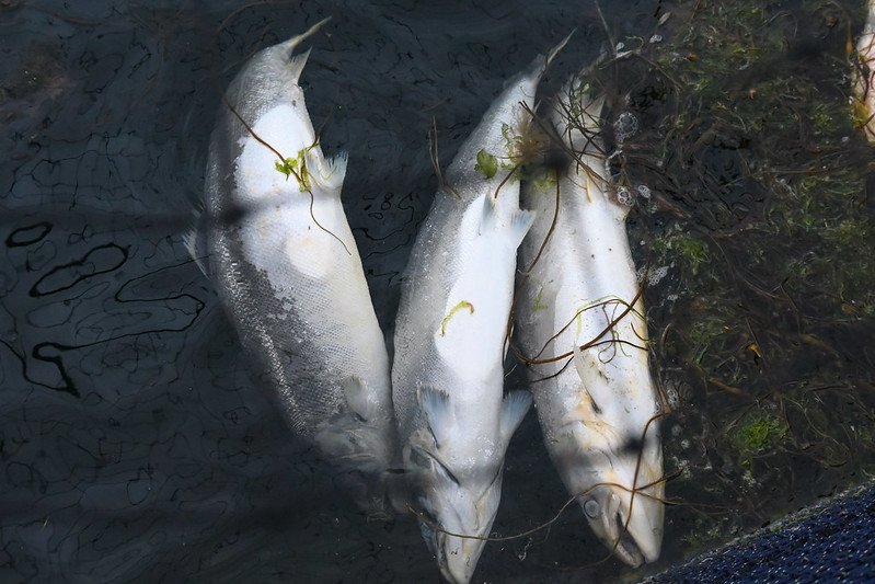 Torridon #3 Torridon #3