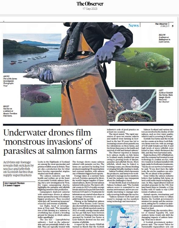 Observer 17 September 2023 newspaper version Observer 17 September 2023 newspaper version