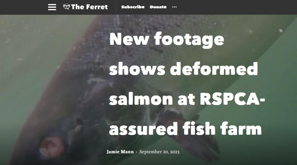 Ferret September 2023 Ferret September 2023