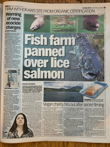 Sunday Mail 26 Nov 2023 newspaper scan 