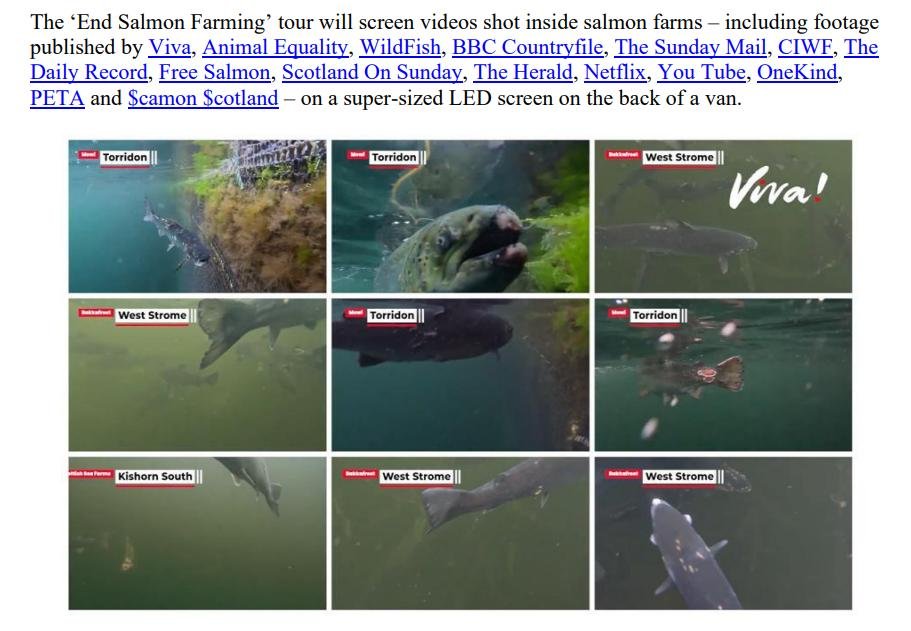 PR End Salmon Farming Join the Scottish Salmon Boycott DigiVan Tour 10 October 2023 #2
