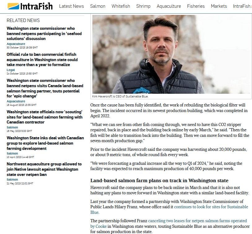 Sustainable Blue #12