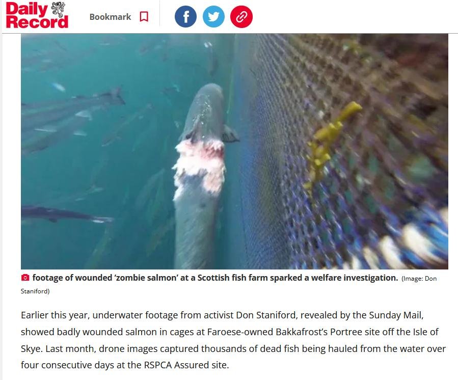 Sunday Mail Packham 15 October 2023 #3