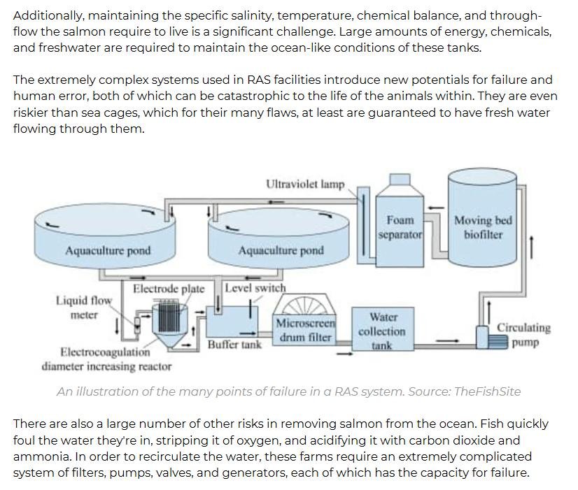 Mark Borthwick written submission to NELC via Animal Equality '#3 Mark Borthwick written submission to NELC via Animal Equality '#3
