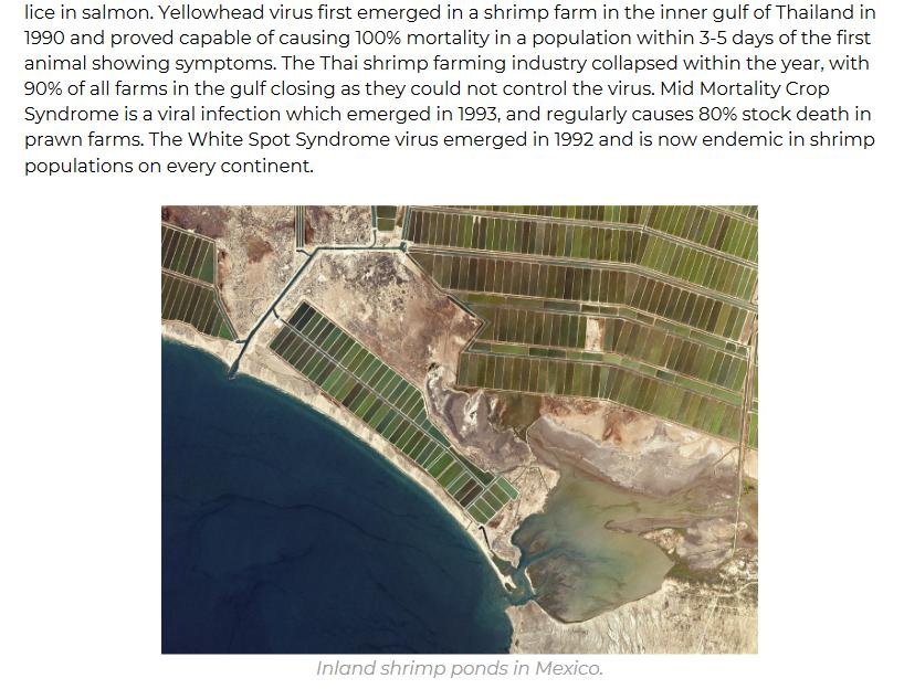 Mark Borthwick written submission to NELC via Animal Equality '#7 Mark Borthwick written submission to NELC via Animal Equality '#7