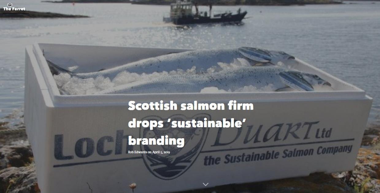 Ferret 5 April 2019 #1