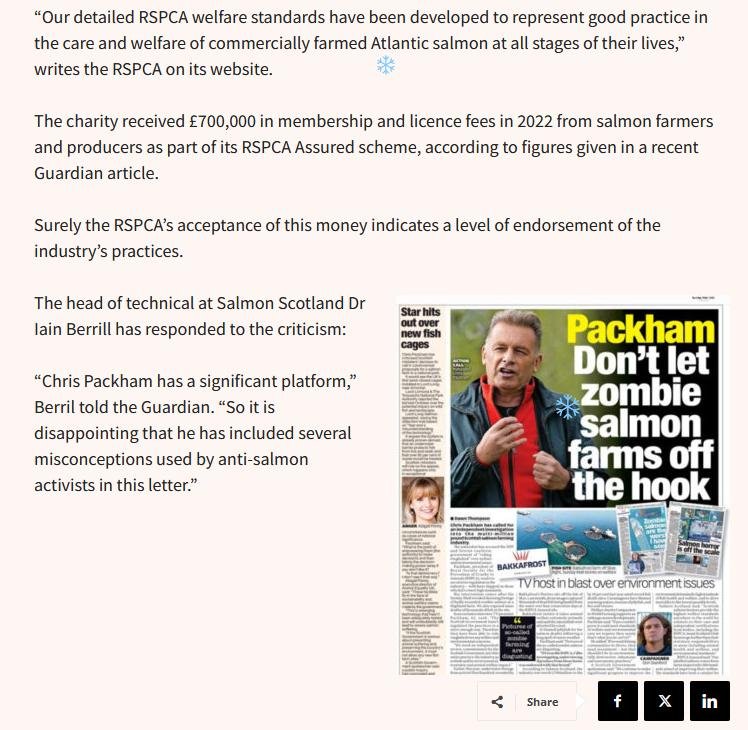 Packham in Salmon Business 11 Dec 2023 #3