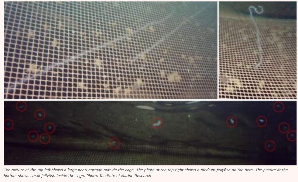 Norway blog #4 Norway blog #4