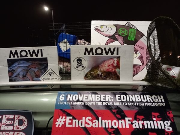 #1 End Salmon Farming Mowi #1 End Salmon Farming Mowi