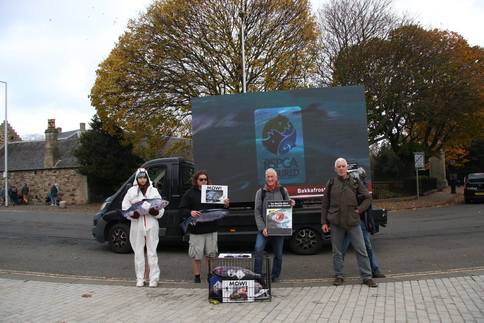 November 6 #5 November 6 #5