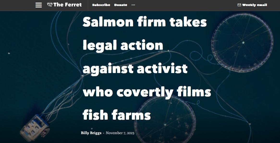 Ferret 7 Nov 2023 #1 Ferret 7 Nov 2023 #1