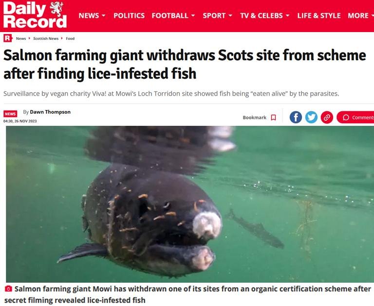 Sunday Mail 26 Nov 2023 #1 Sunday Mail 26 Nov 2023 #1