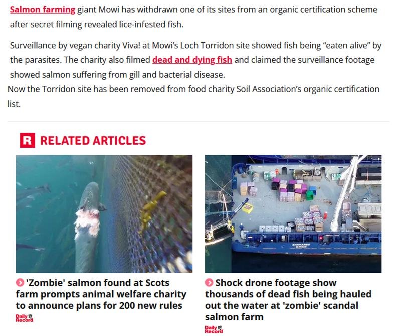 Sunday Mail 26 Nov 2023 #2 Sunday Mail 26 Nov 2023 #2