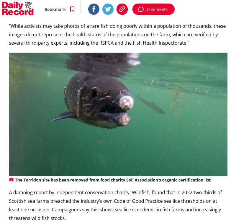 Sunday Mail 26 Nov 2023 #5 Sunday Mail 26 Nov 2023 #5