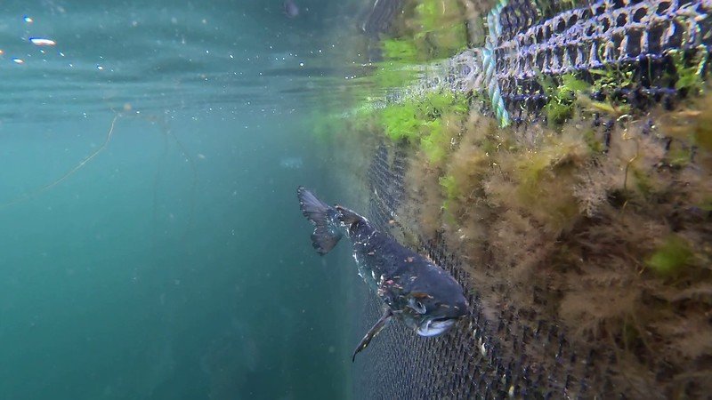 Torridon #2 Torridon #2