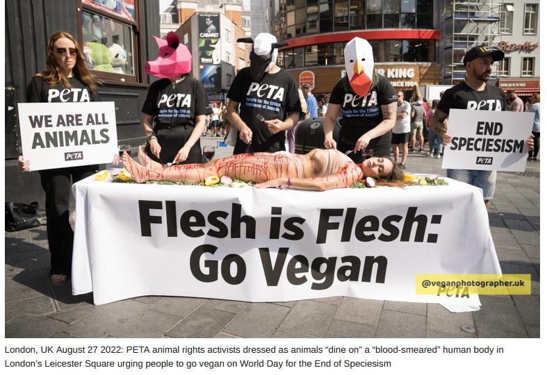 Peta
