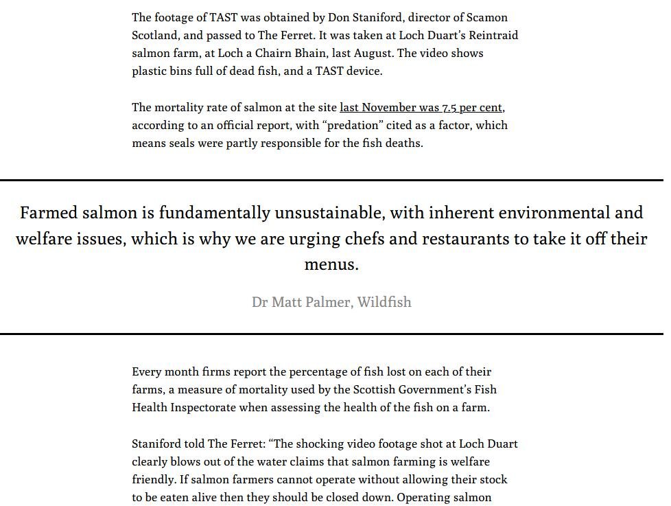 Ferret 11 Jan 2024 #5