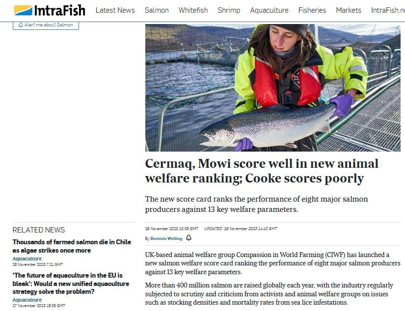 CIWF scorecard #3