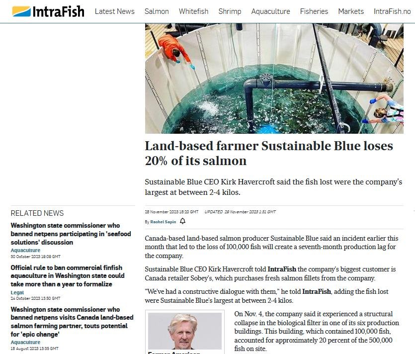 Sustainable Blue #11