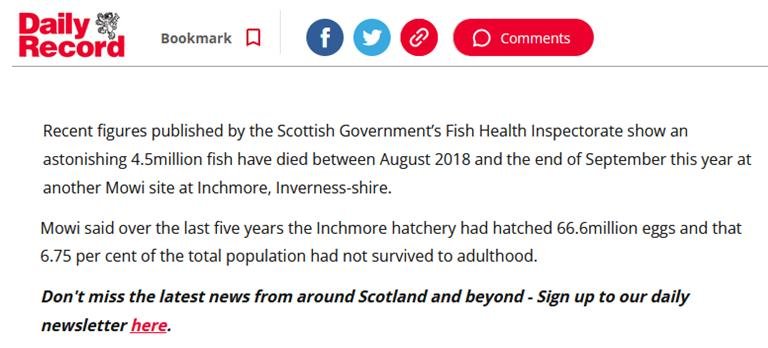 Sunday Mail 26 Nov 2023 #6 Sunday Mail 26 Nov 2023 #6